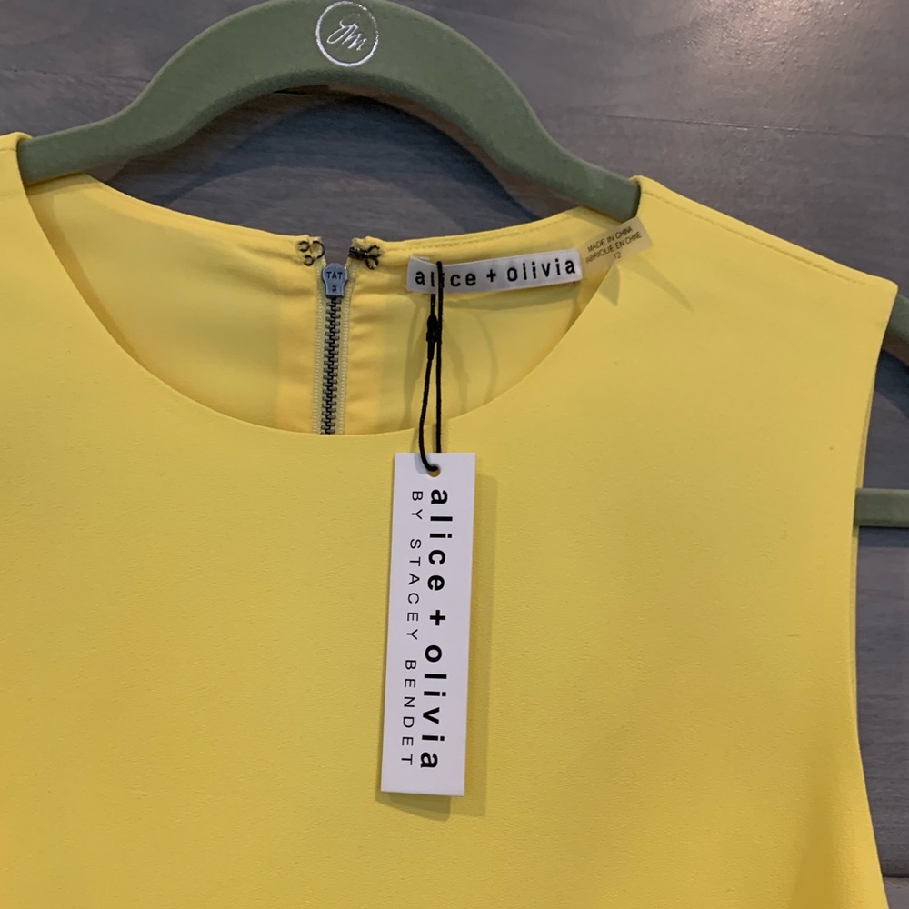 Alice and Olivia brand new GORGEOUS dress!